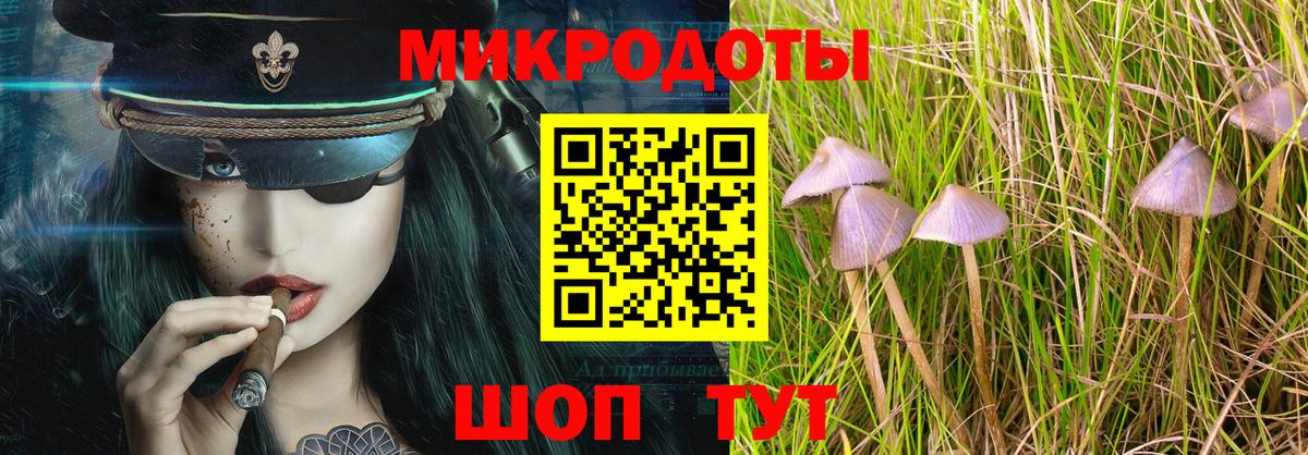 Галлюциногенные грибы мухоморы  закладка  Ишимбай  Вход с VPN 