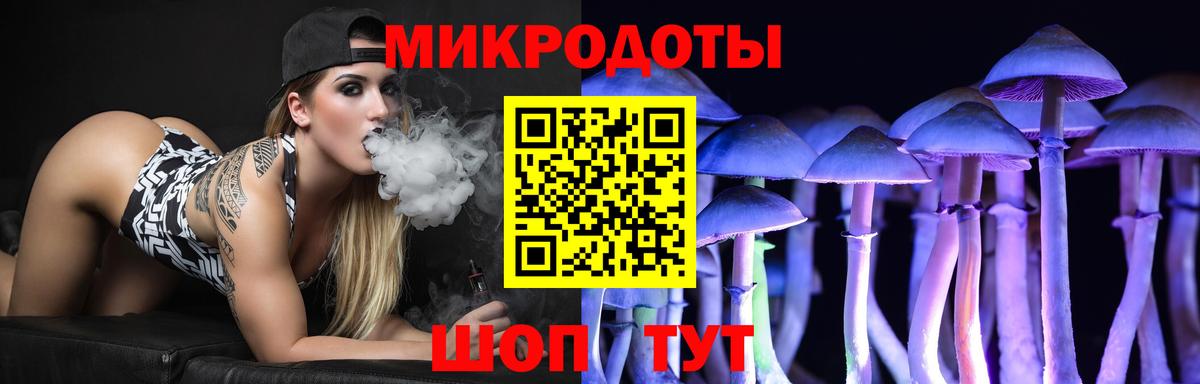 Галлюциногенные грибы Psilocybe Ишимбай